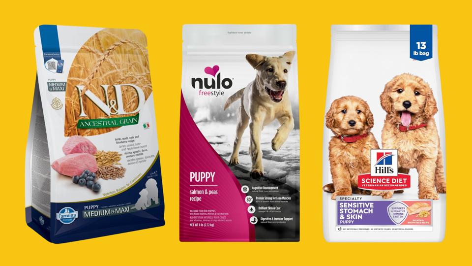 Best Affordable Dog Foods